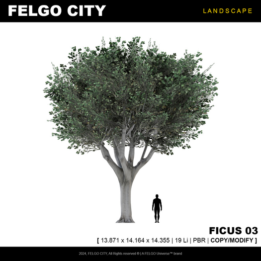 FELGO City // Tree - Ficus 03