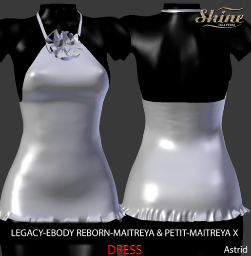 [SHINE FULL PERM] DRESS ASTRID