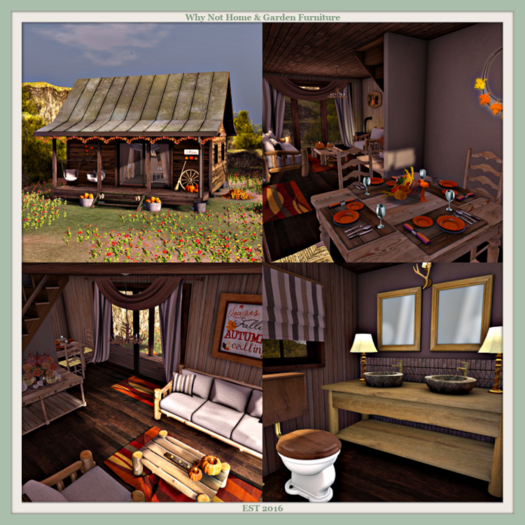 FP Why Not - Bracklin Loge Set-Boxed