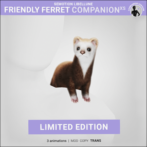 SEmotion Libellune Frendly Ferret XS Companion LIMITED