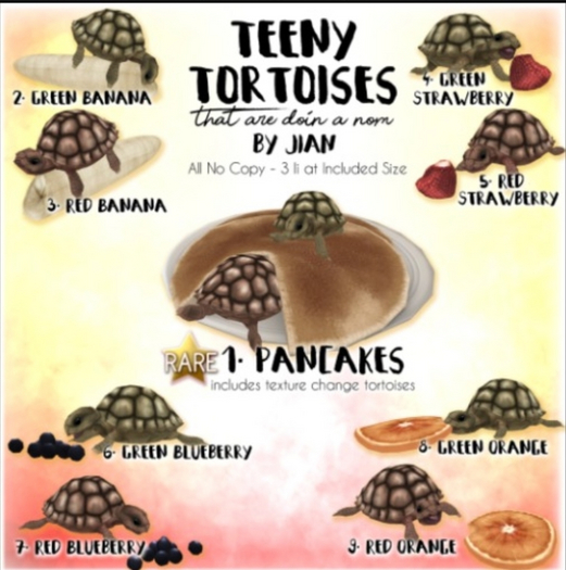 JIAN Teeny Tortoises 6. Green Blueberries