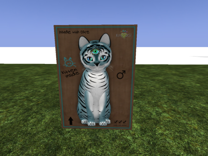 KittyCatS Box - New Born Kitten