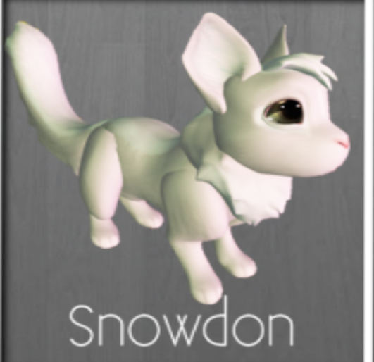 Meeroo Nest ID #8554130 Welsh Snowdon Meeroo