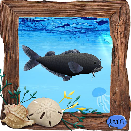 (7S) Uncommon Fish: Blue Catfish