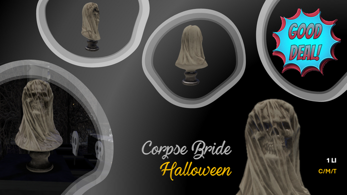 [GOOD DEAL] Corpse Bride Skull. BOXED/ADD&TOUCH.