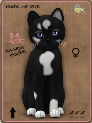 KittyCatS Box - Genesis - Domino V - Teacup