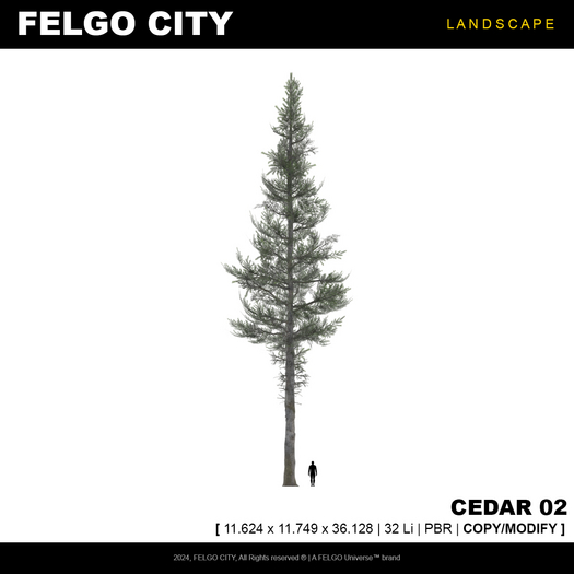FELGO City // Tree - Cedar 02