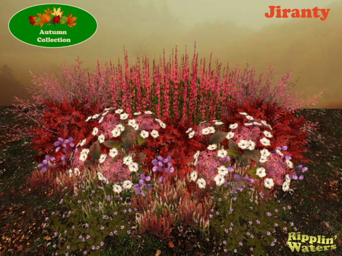 RW - Autumn Fall Flower Border Hydrangea *Jiranty* c/m