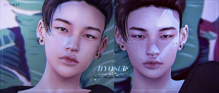 MUDSKIN - HYOSUB (Catwa) - FATPACK