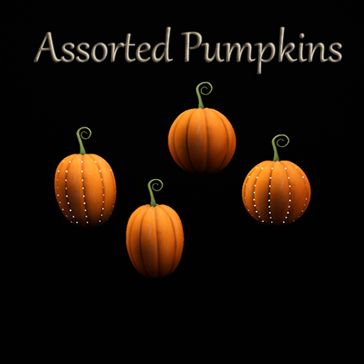 Bad Katz Pumpkins Assorted Full Perm