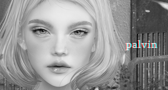 MUDSKIN - PALVIN (Genus) - DEMO