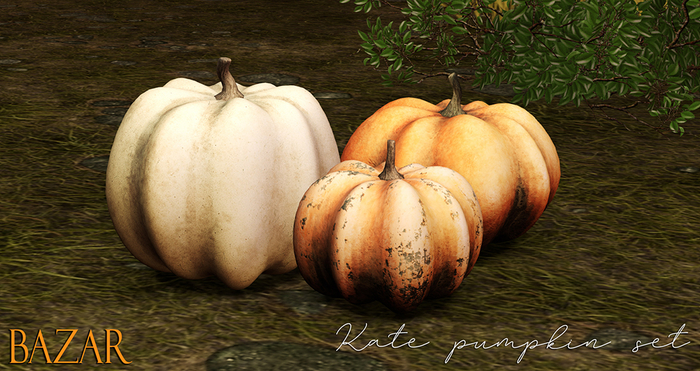 ~BAZAR~Kate pumpkin set