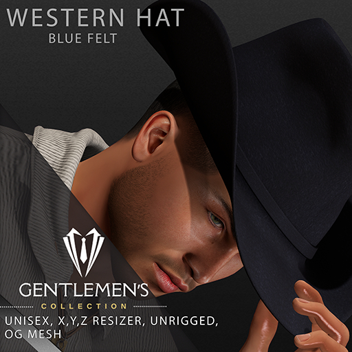 [GC] Western Hat Blue