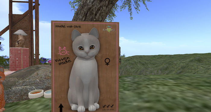 KittyCatS Box - Genesis - Pearl II - Bigger de Big