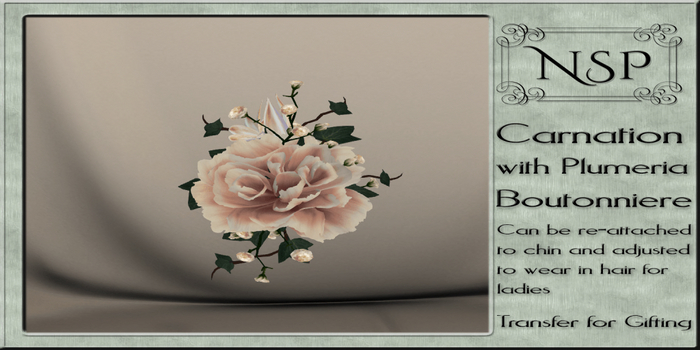NSP Carnation & Plumera Boutonniere - Vintage V2