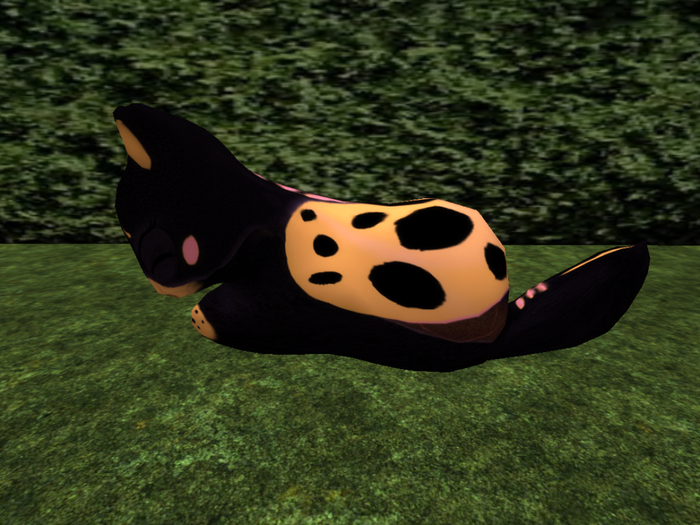 Stray Cats Kitten - Stray Kitty (M) 4