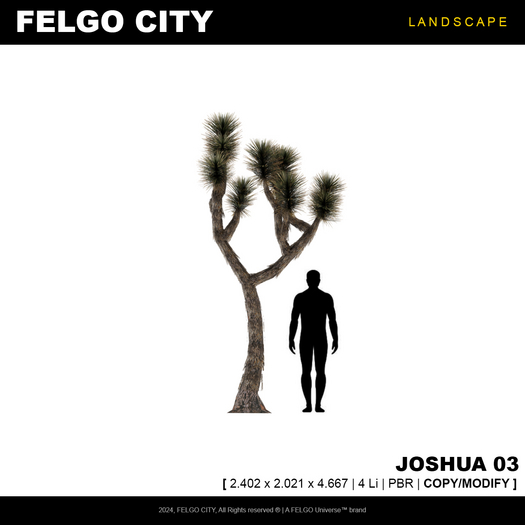 FELGO City // Tree - Joshua 03