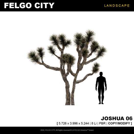 FELGO City // Tree - Joshua 06