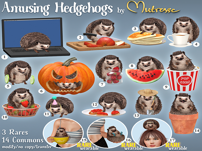 15. Mutresse-Amusing Hedgehogs RARE