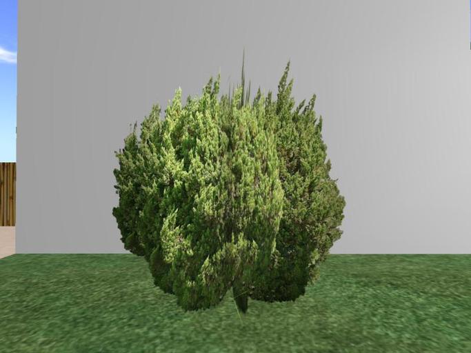 Arkads 1 Prim Hollywood Juniper