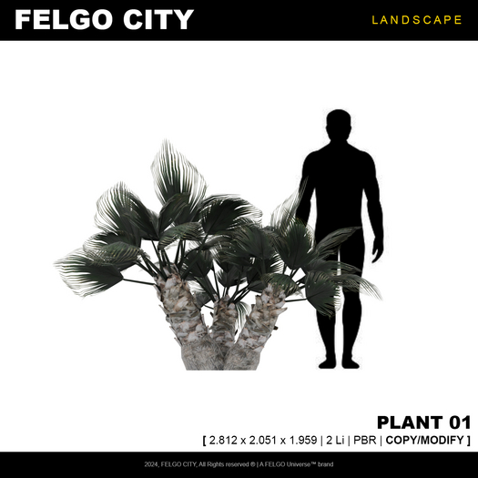 FELGO City // Plant 01
