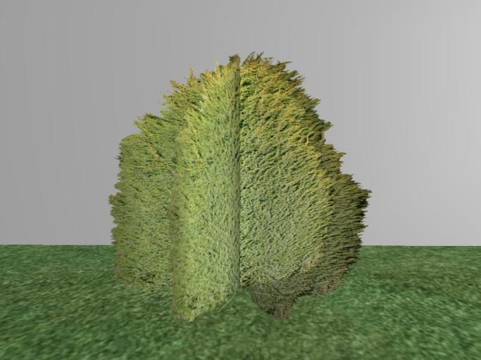 Arkads 1 Prim Common Juniper v2