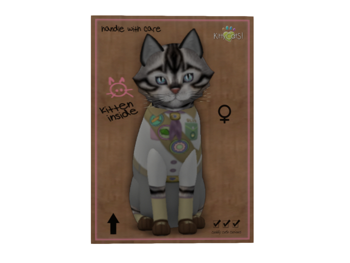 KittyCatS Box - KittyScoutS! - Posh Scout