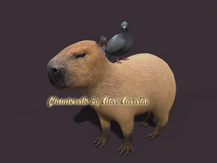 5. Mutresse-Chill Capybaras