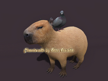 5. Mutresse-Chill Capybaras