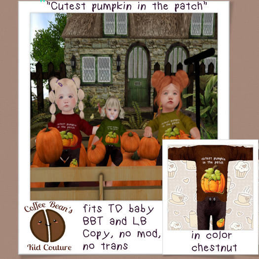 !!CB cutest pumpkin in the patch CHESTNUT BOXED