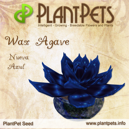 PlantPet Seed [Wax Agave *Nueva Azul*]