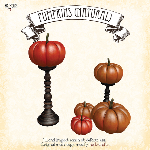 [noctis] Pumpkin stands natural ADD ME