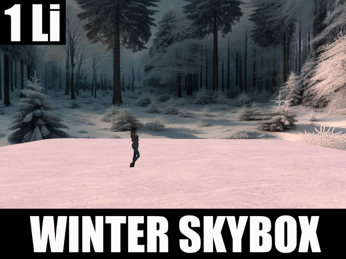 Skybox