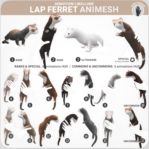 SEmotion Libellune Lap Ferret Animesh #2 RARE
