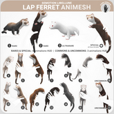 SEmotion Libellune Lap Ferret Animesh #2 RARE