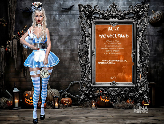 ❤️, Alice In Wonderland Costume, All Included, Halloween Costume