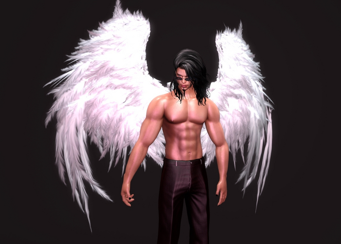 ANGEL WINGS
