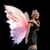 Wild Rose Fairy Wings N17