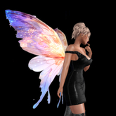 Wild Rose Fairy Wings N20