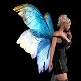 Wild Rose Fairy Wings N22