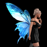 Wild Rose Fairy Wings N23