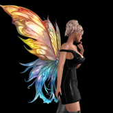 Wild Rose Fairy Wings N26