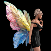 Wild Rose Fairy Wings N28