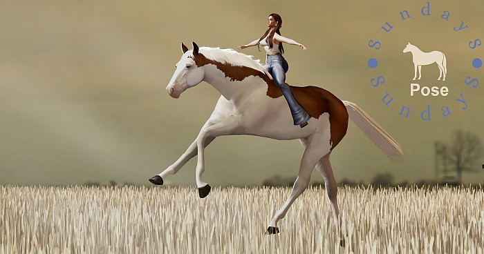 SundayS - Pose - Freedom (horse and rider)