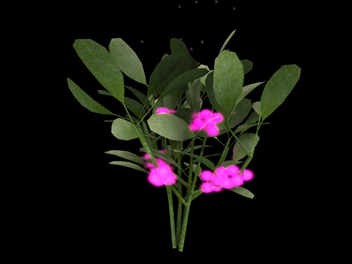 {Papillon} Small Mysterious Mistletoe