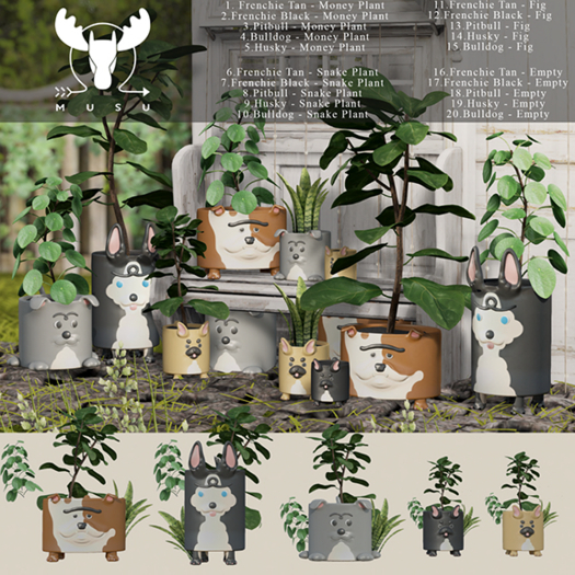 5. -MUSU- Puppy Pot (Bulldog - Money Tree)