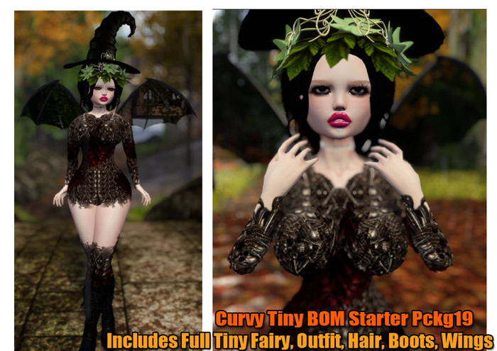 BOM  CURVY  TinyFairy19 and Outfit