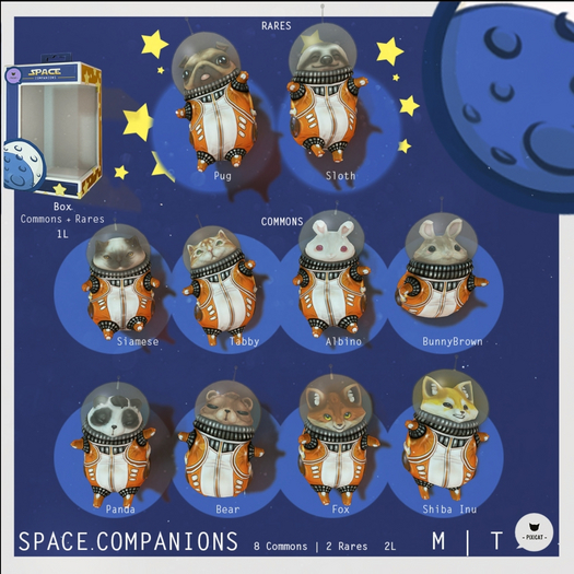 -Pixicat- Space.Companion (Fox)