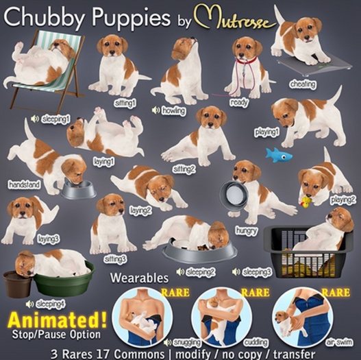 Mutresse-Handstand-Chubby Puppies