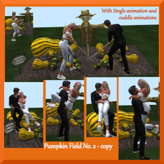 C.M.D. Pumpkin Field No. 2-23 VB